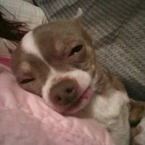 Meet your Posher, Belinda